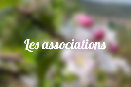 Association Culture et Patrimoine de Chanonat